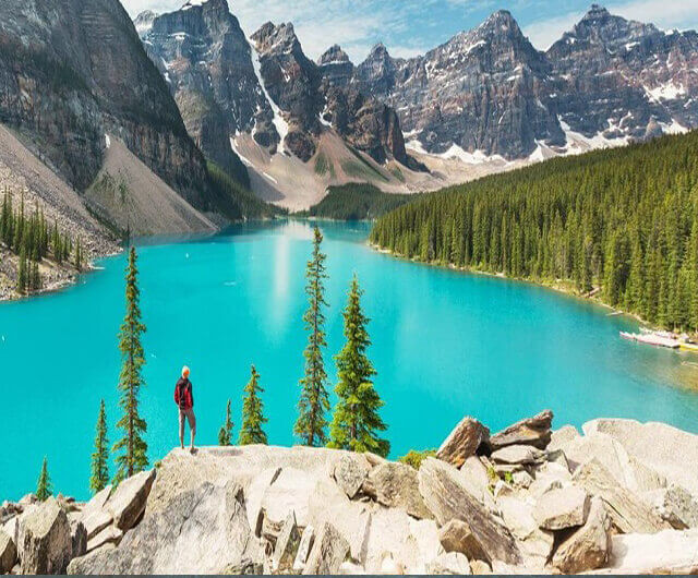 Muon-co-gia-ve-may-bay-di-Canada-re-lien-he-toi-Godiva 